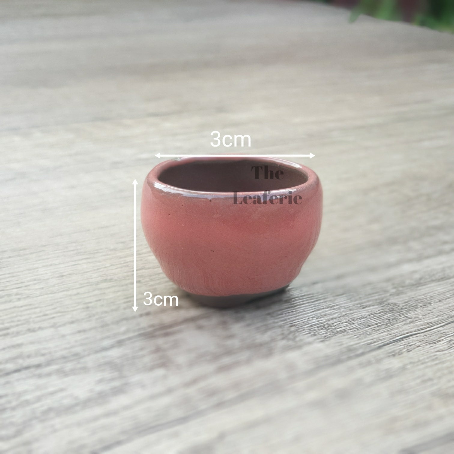 Petit Bonsai Pot (Series 8)
