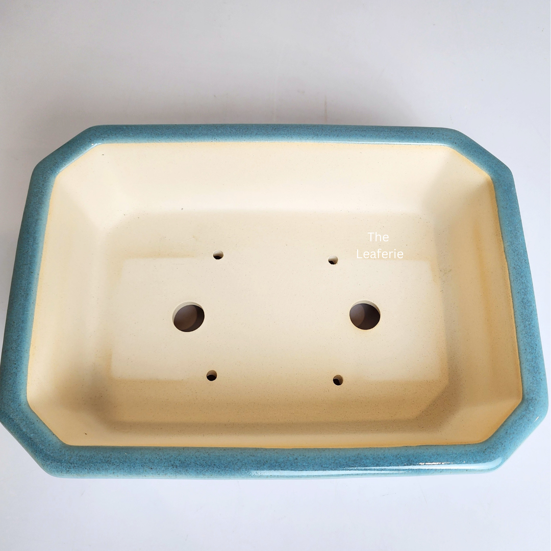 Bonsai Tally (Series 9) Flowerpot