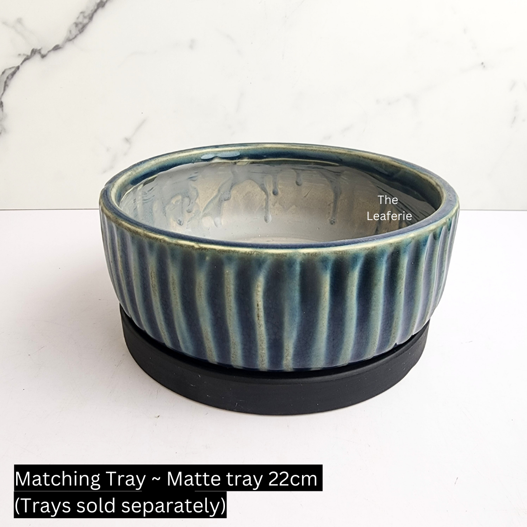 Willow Shallow Flowerpot