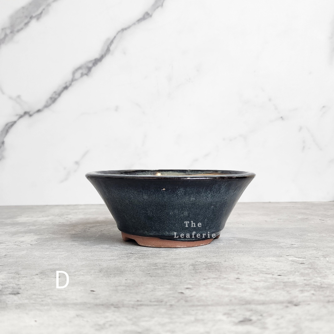 Bonsai Flowerpots (Series 23)