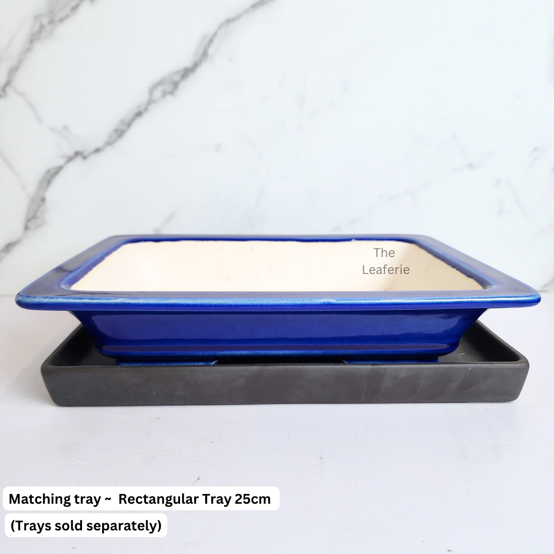 Bonsai Tally (Series 8) Rectangular Flowerpot