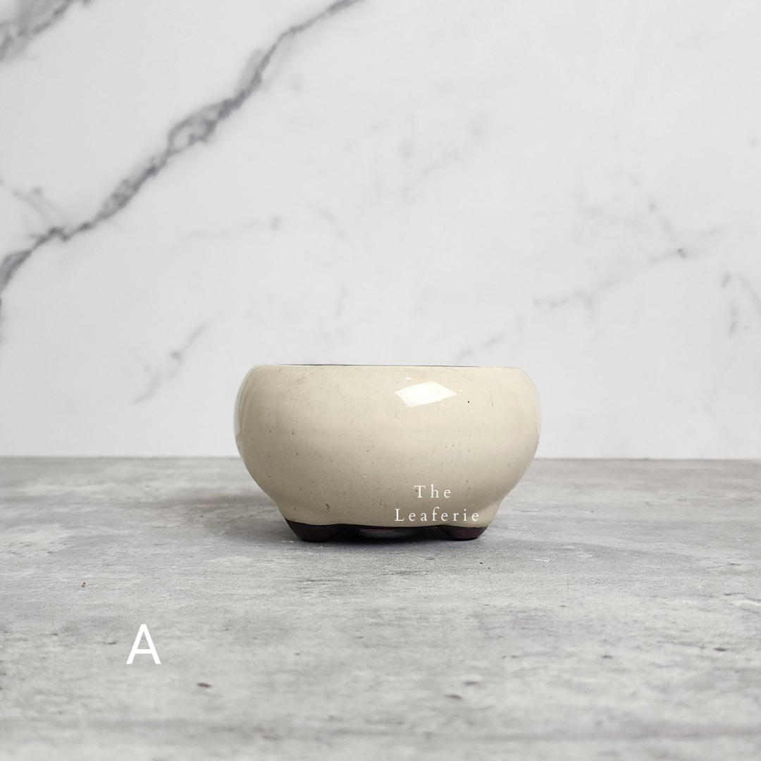 Bonsai Flowerpot (Series 25)