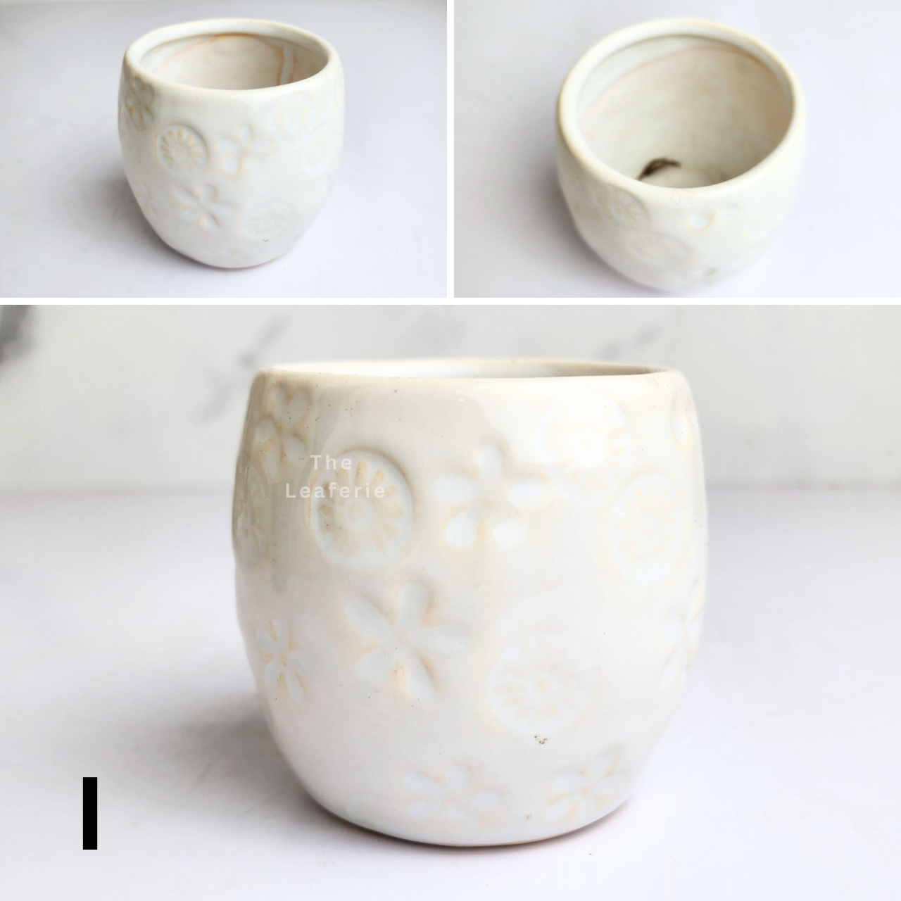 Petit Flowerpots (Series 18)