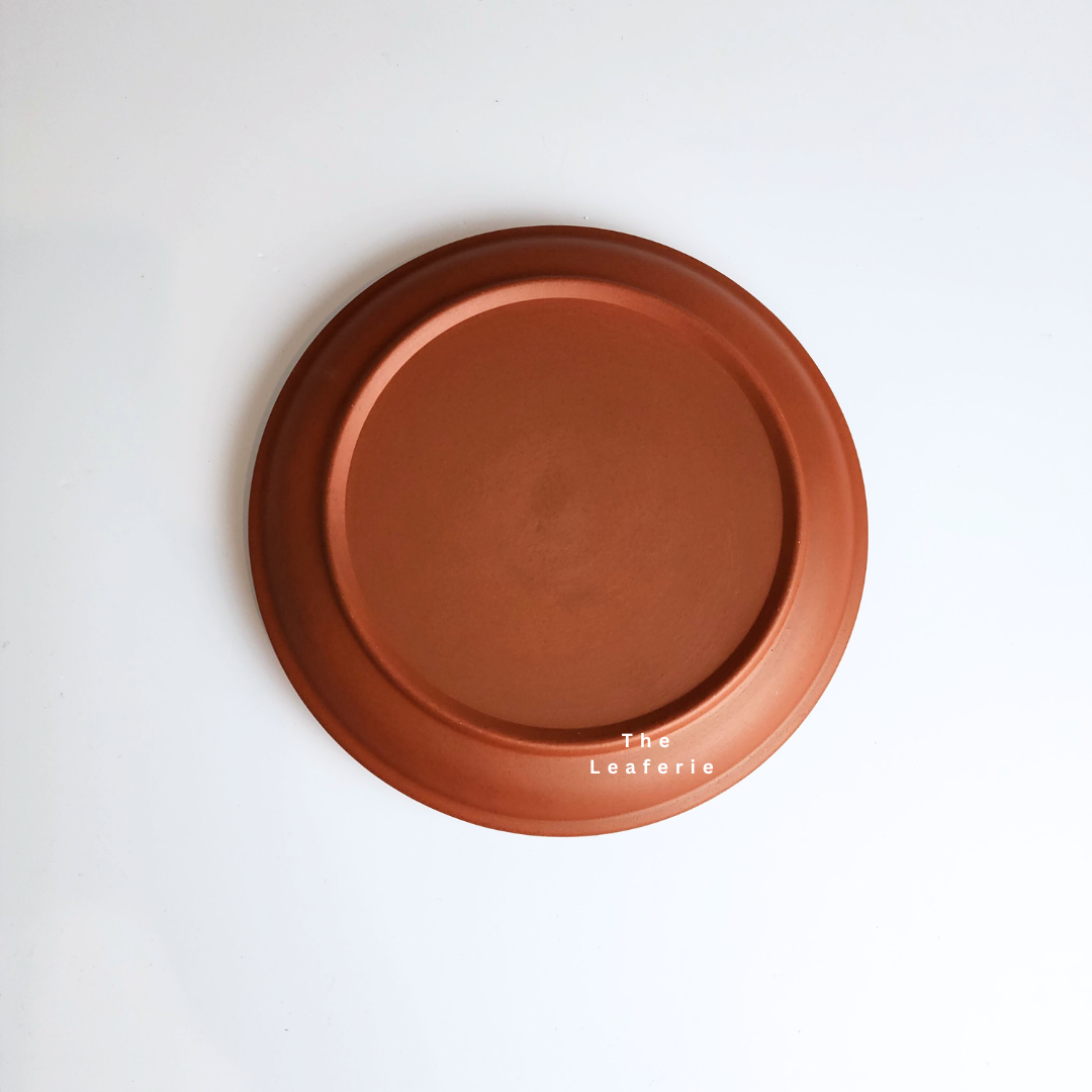 Zisha Large Trays (3 Colours)