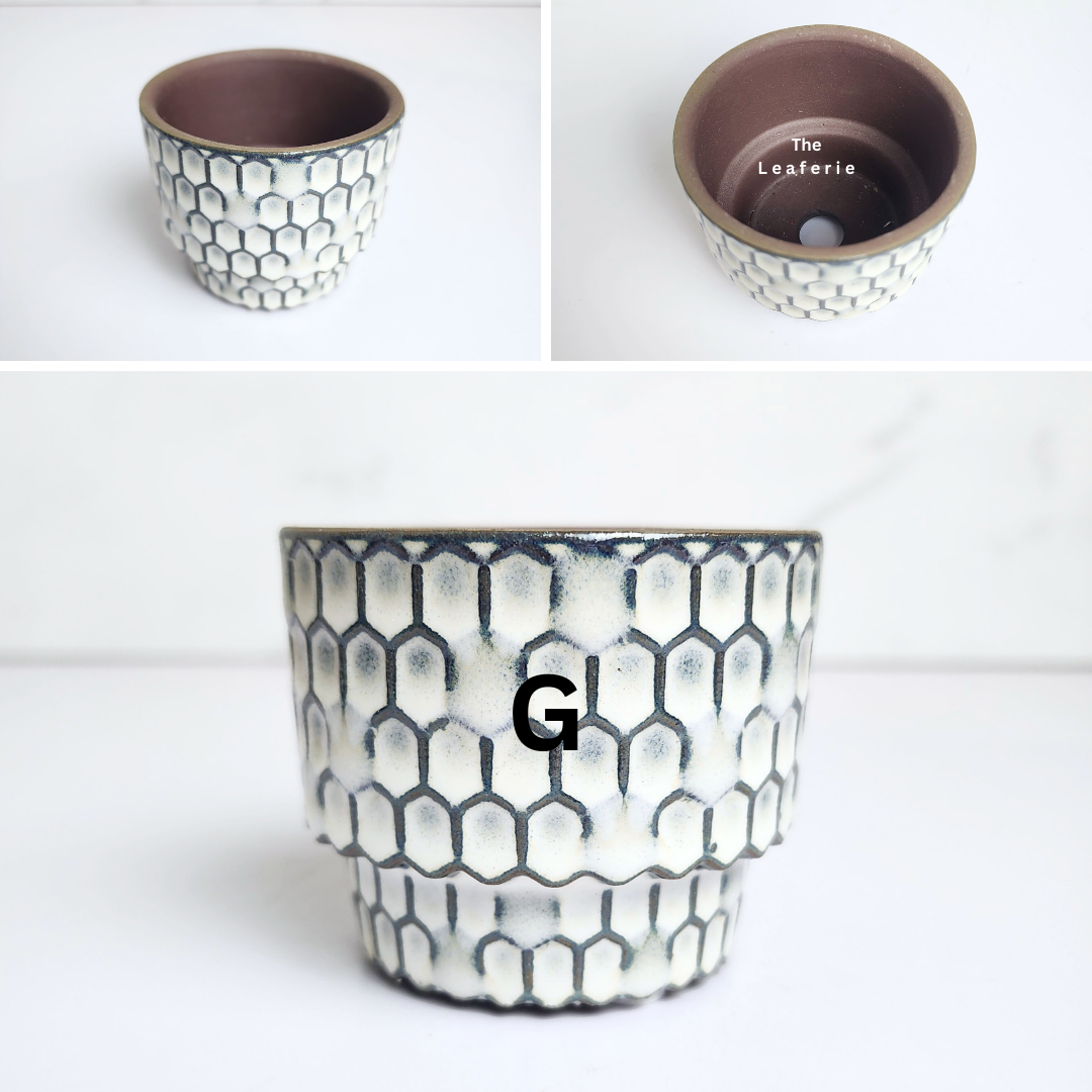 Petit Flowerpots (Series 17)