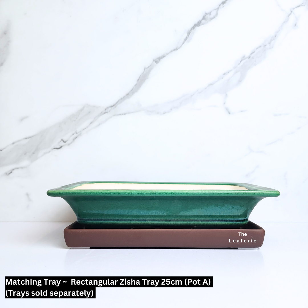 Bonsai Tally Flowerpot (Series 4) Rectangular 3 designs