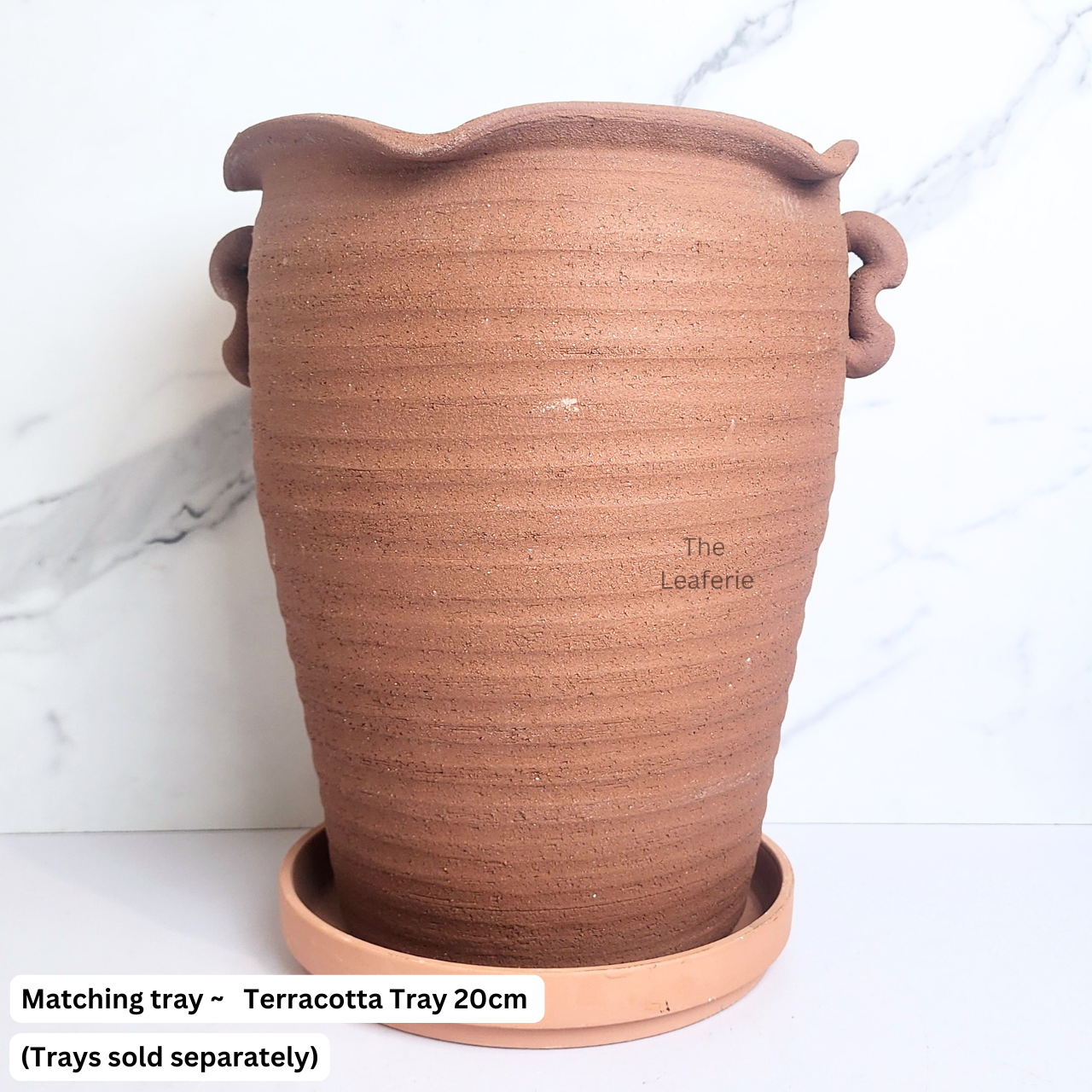Yucca Tall Terracotta Flowerpot