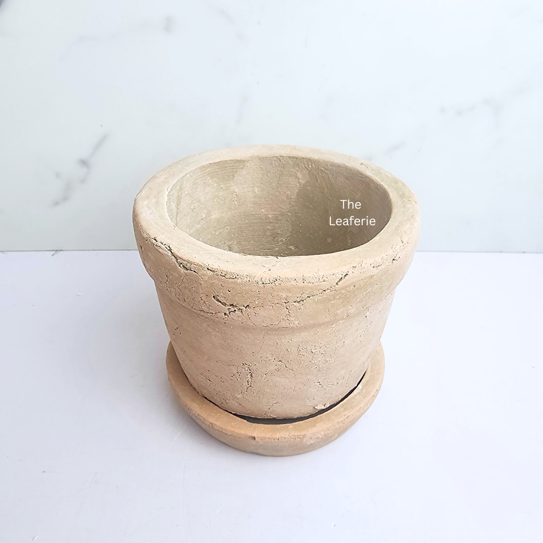 Yaritza Terracotta Flowerpot