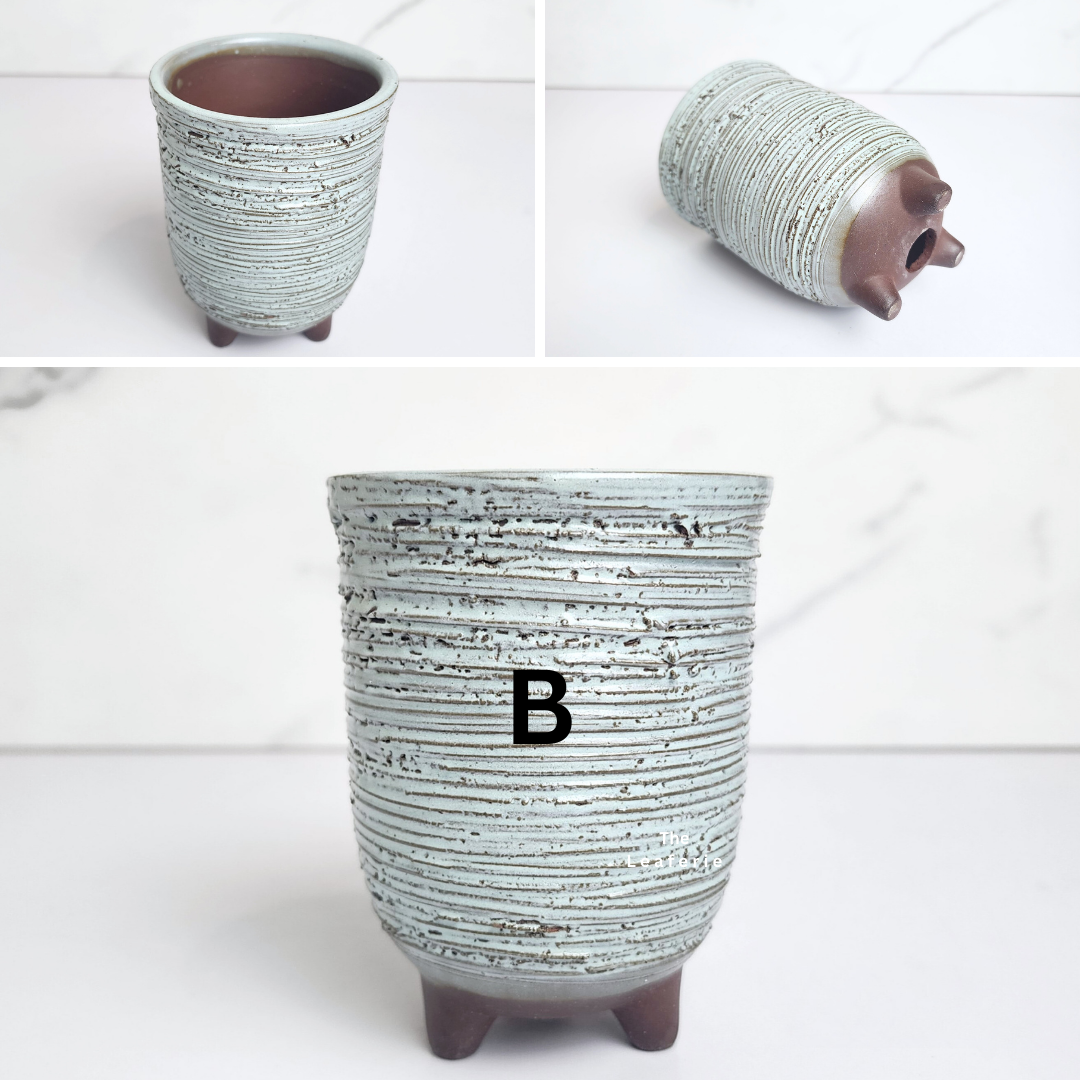 Petit Flowerpots (Series 14)