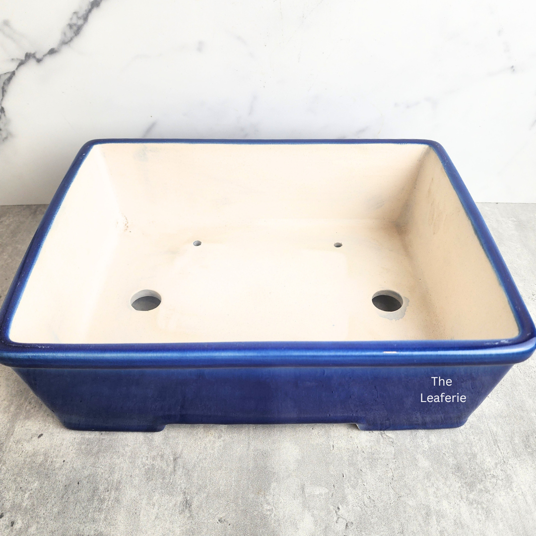 Bonsai Flowerpot (Series 61) Rectangular