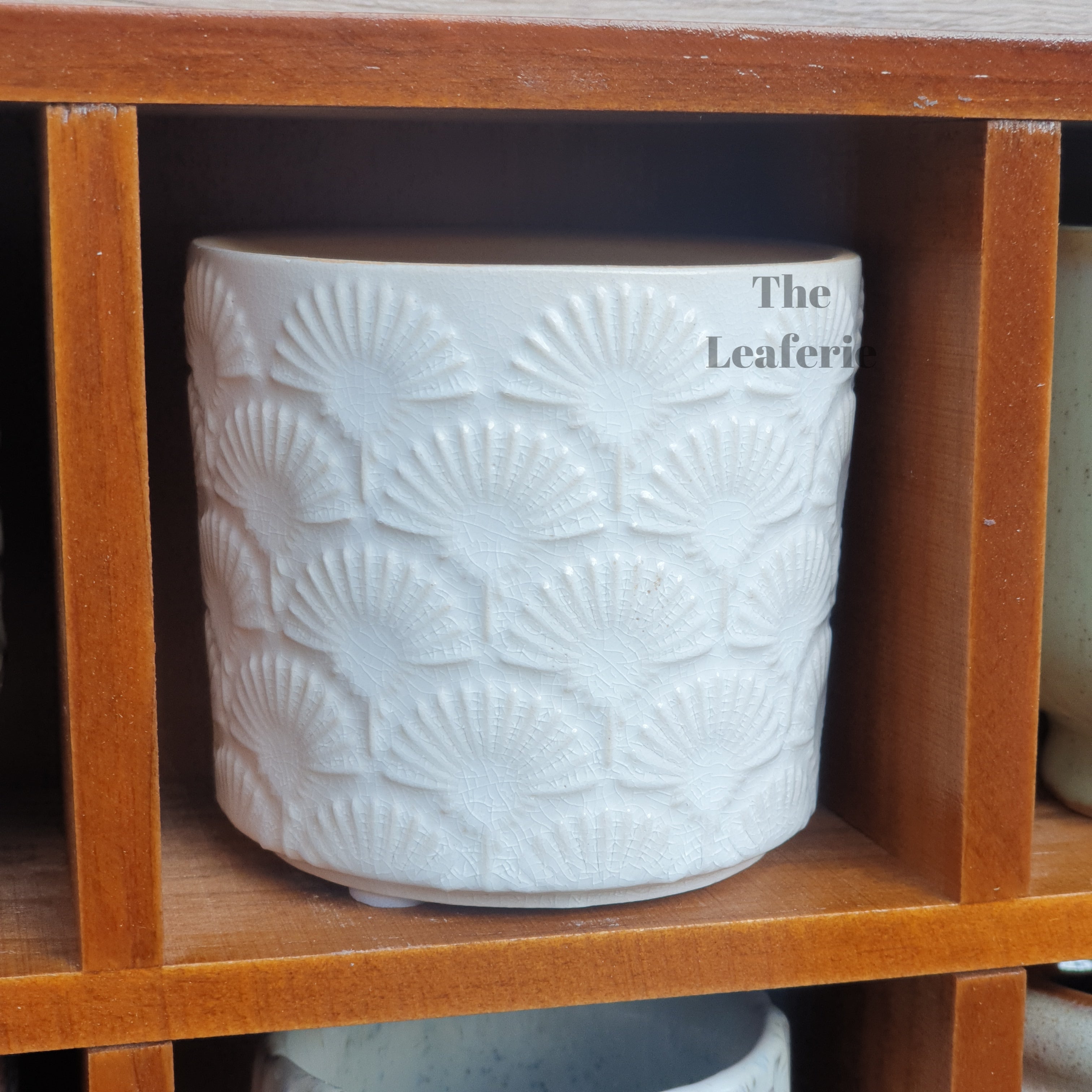 Petit Flowerpots (Series 2)