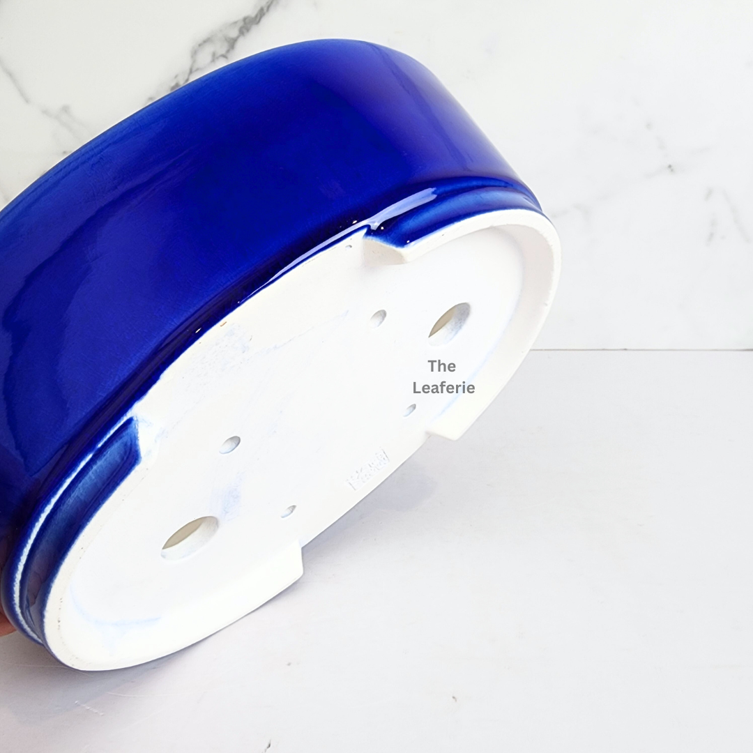 Bonsai Tally (Series 10 ) Oval Flowerpot