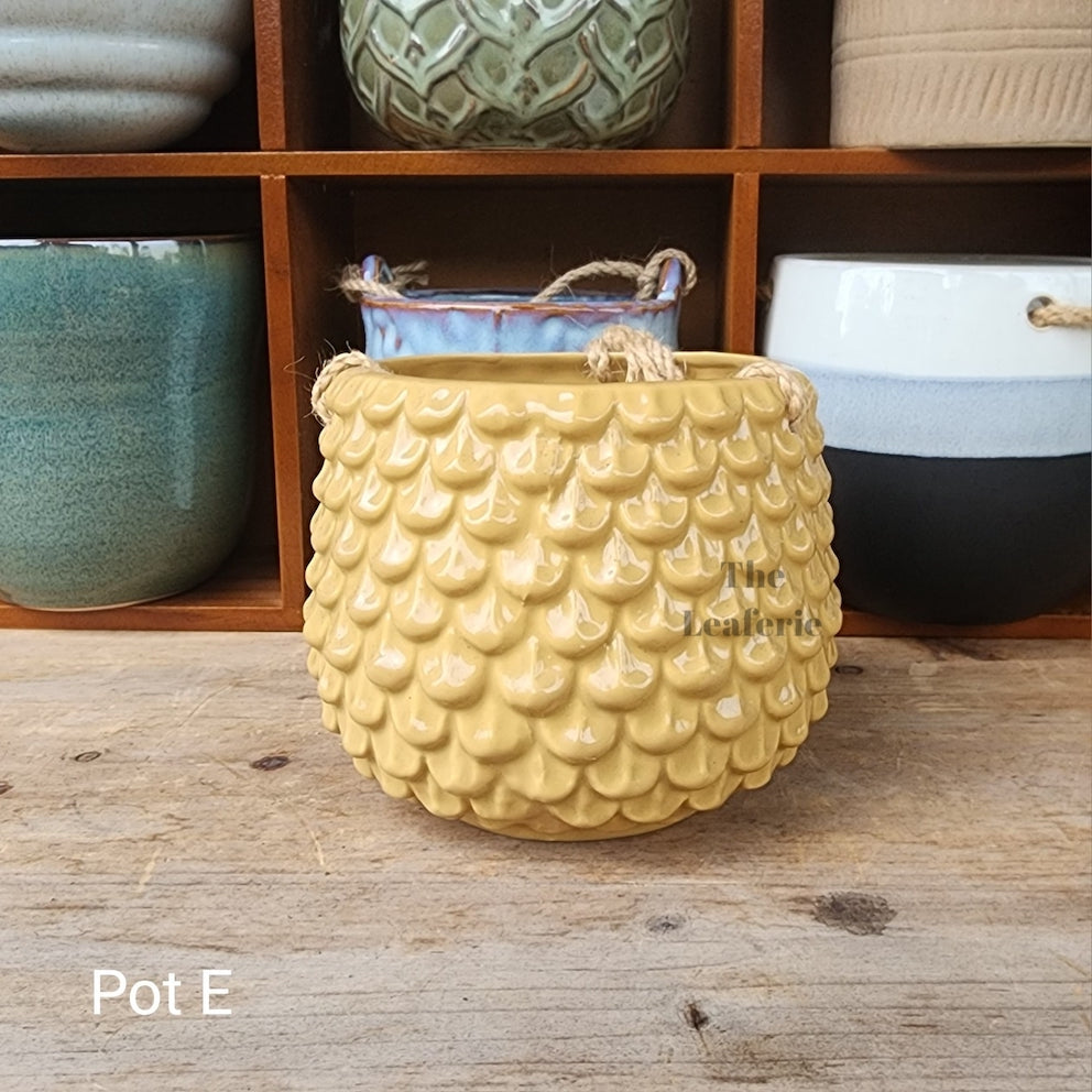 SKYLAR Collection Hanging Pots