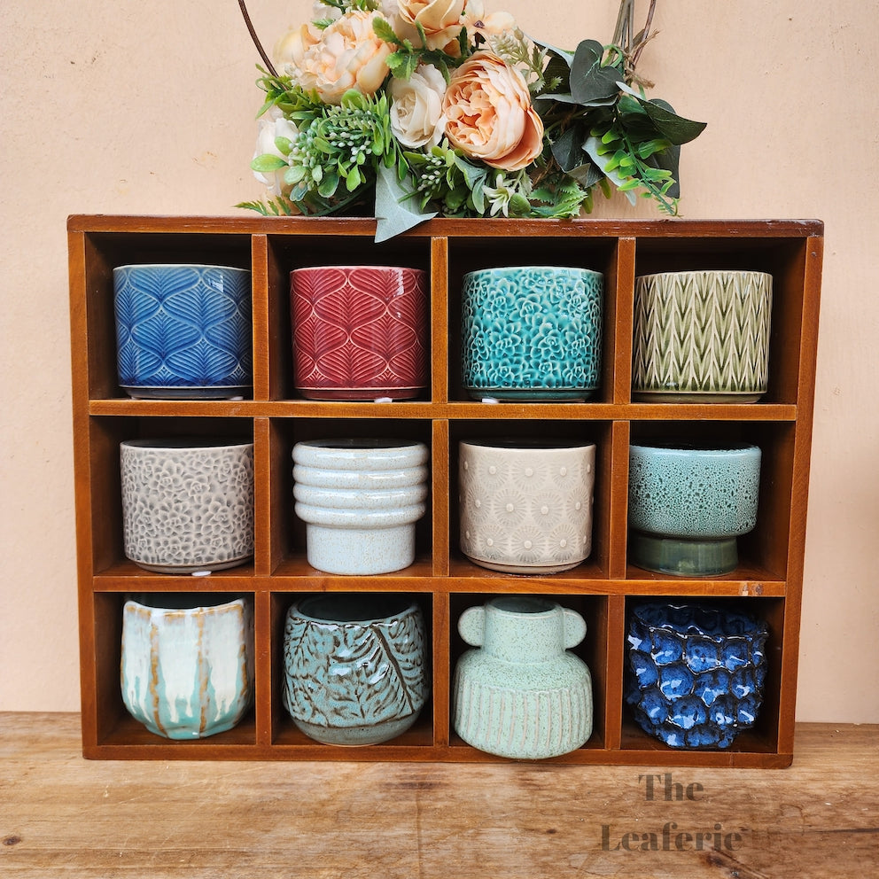 Petit Flowerpots (Series 9)