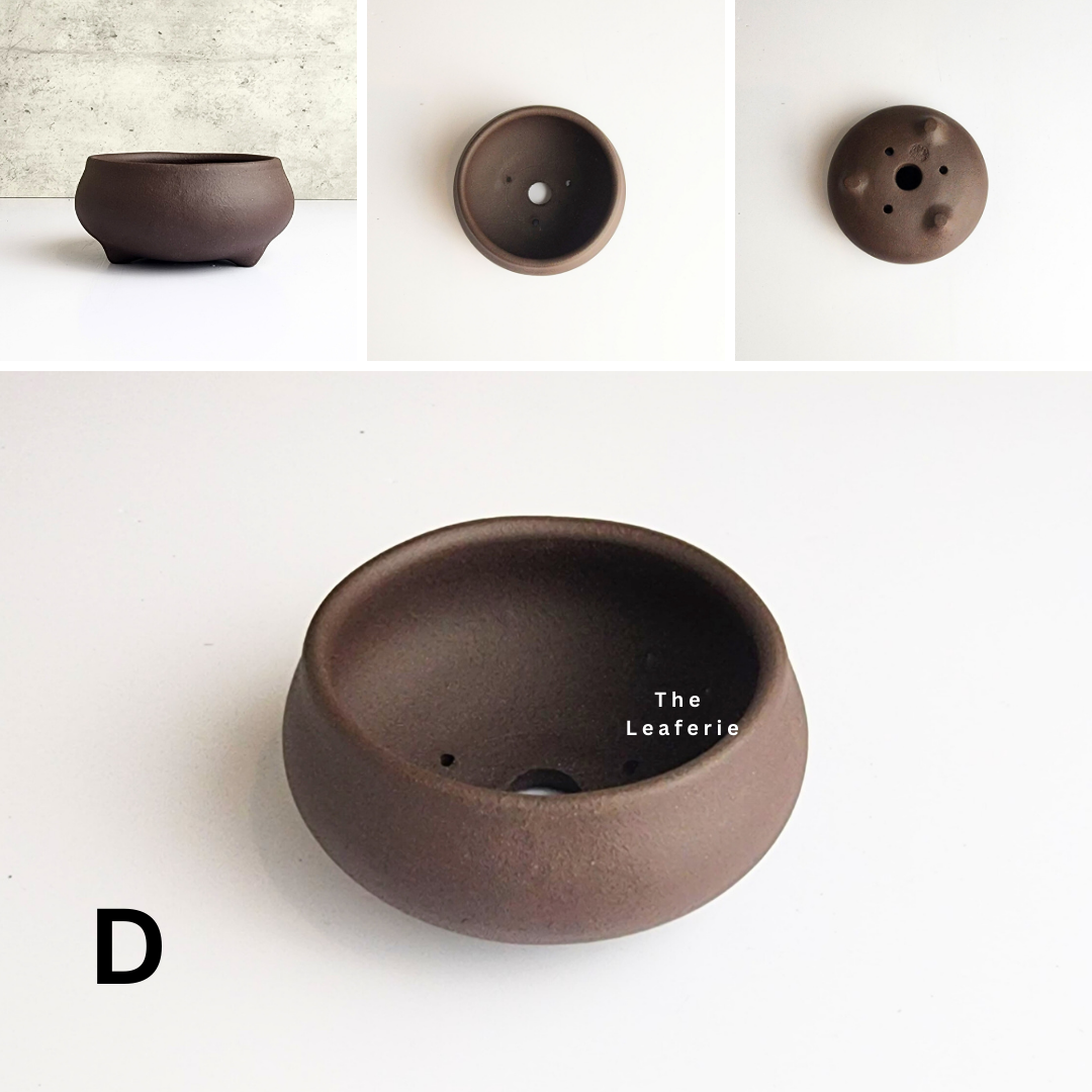 Bonsai Flowerpot (Series 30)