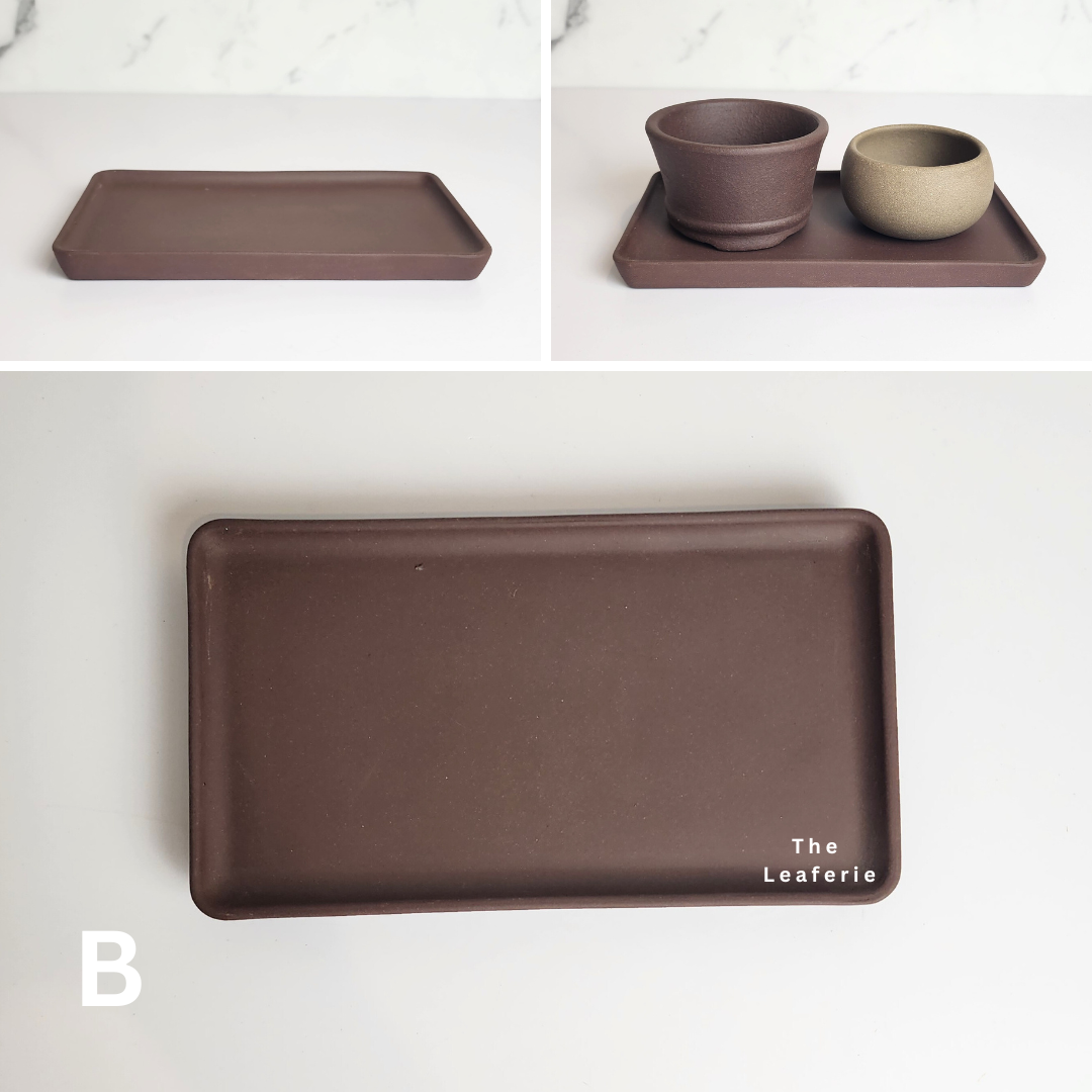 Zisha Rectangular trays (3 Colours)