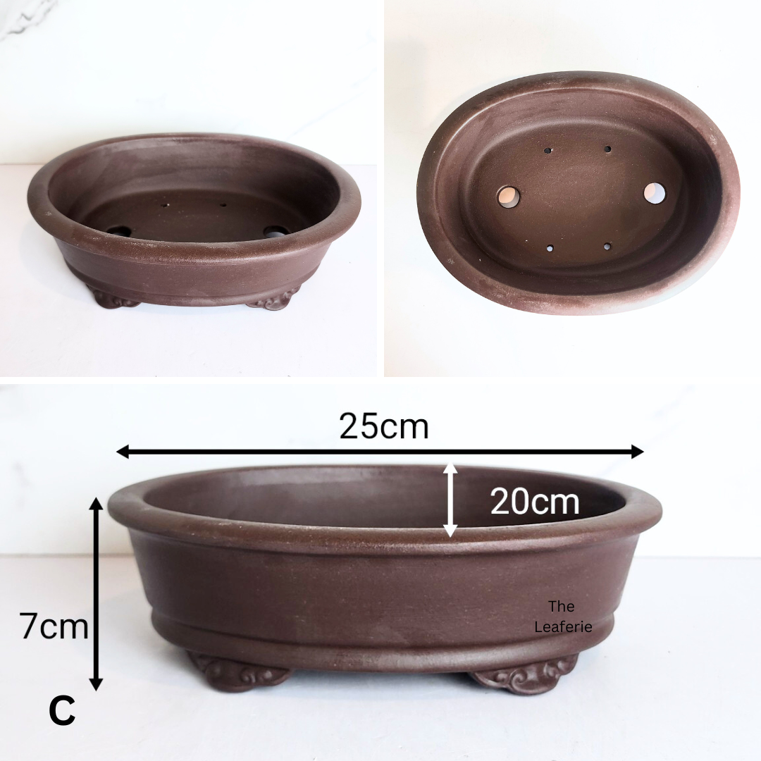 Bonsai Flowerpot (Series 72)