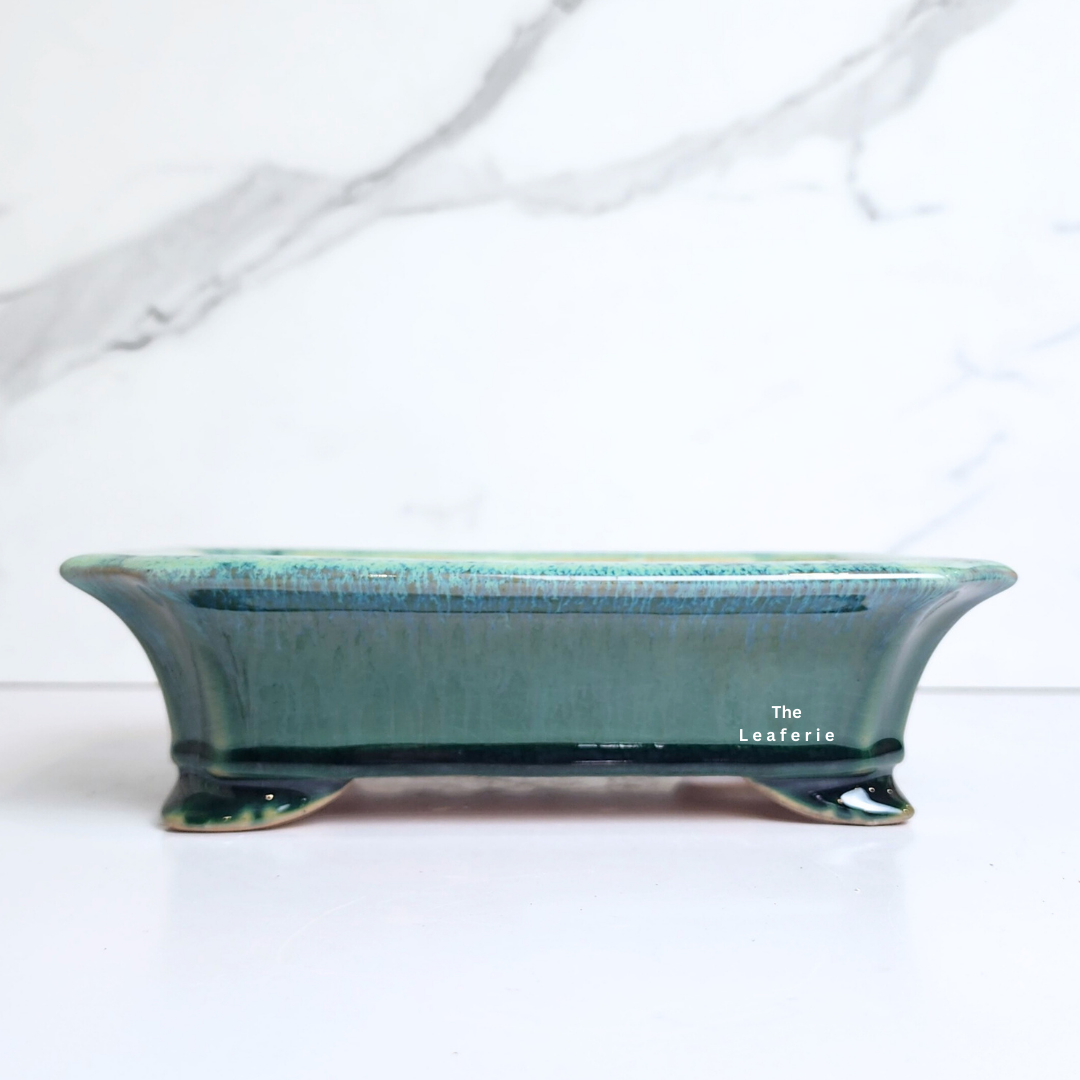 Bonsai Tally (Series 7) Flowerpot