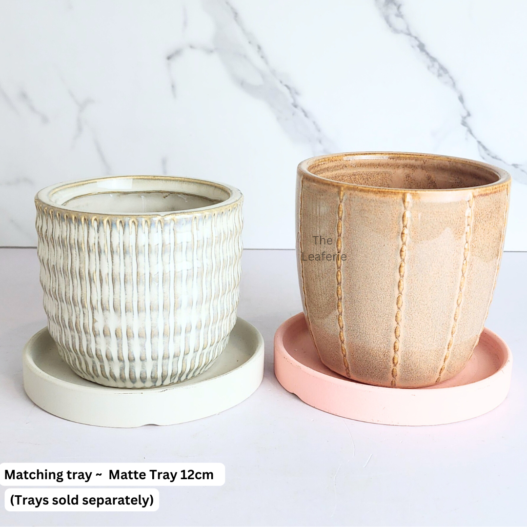 Mini Flowerpots (Series 12)