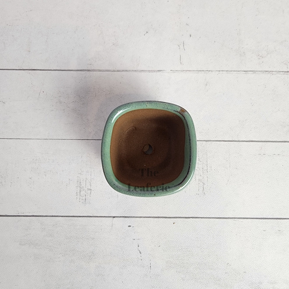 Petit Bonsai Flowerpot (Series 6)