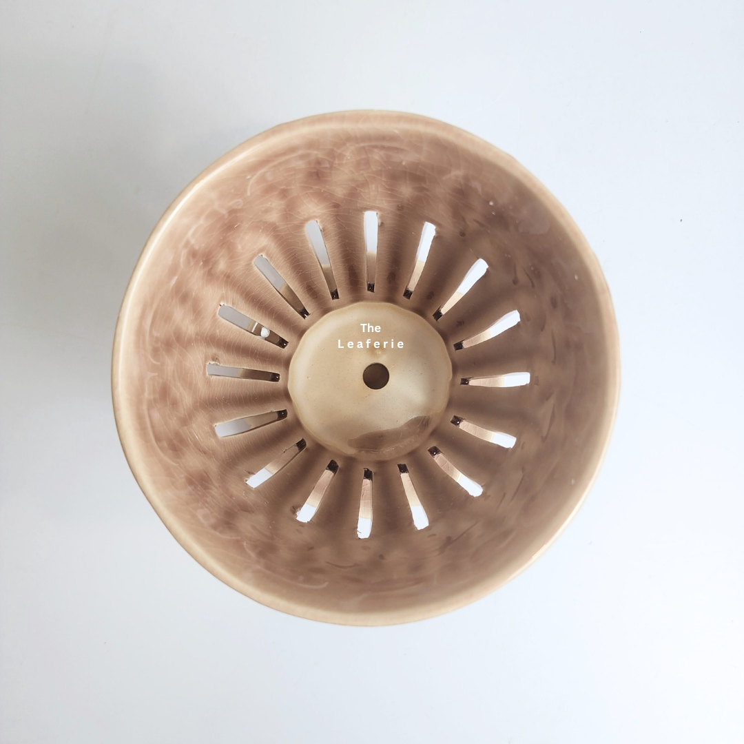 Leia Orchid Flowerpot