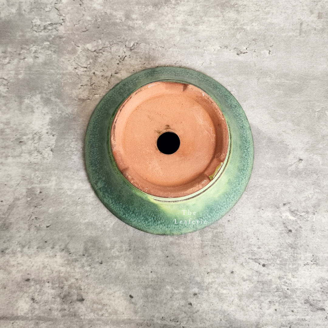 Bonsai Flowerpots (Series 23)