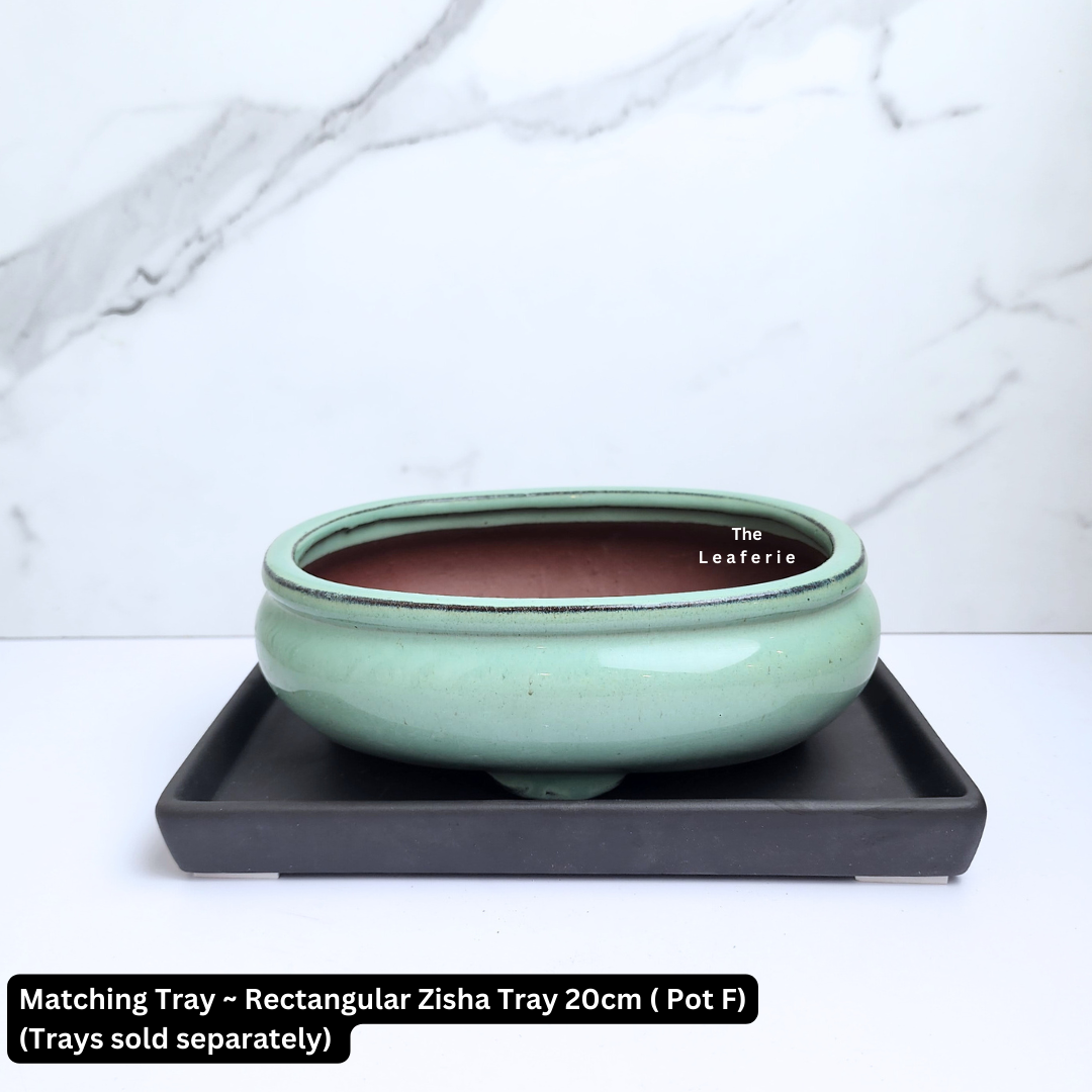 Bonsai Tally Flowerpot (Series 3)