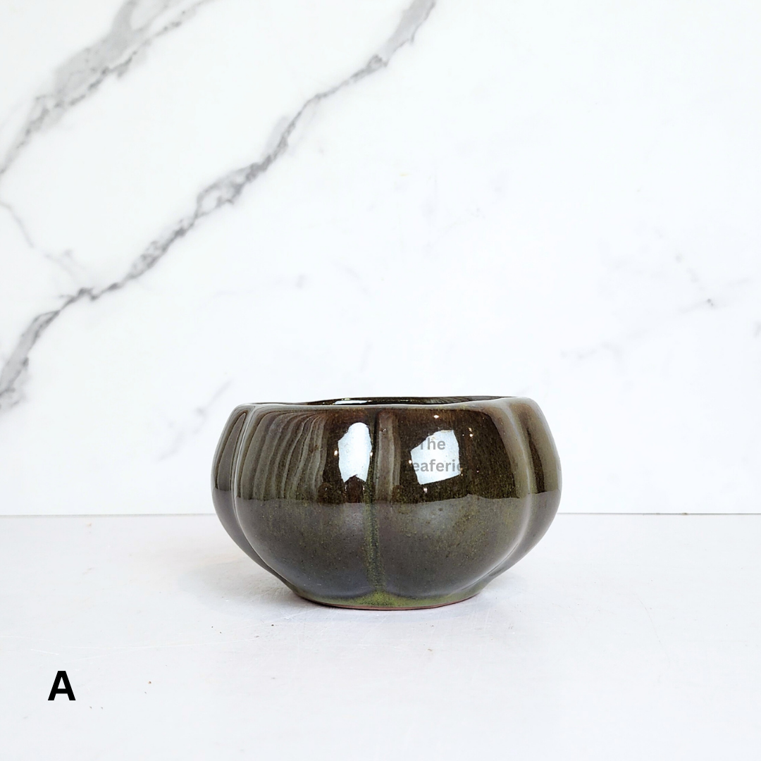 Bonsai Flowerpot (Series 64)