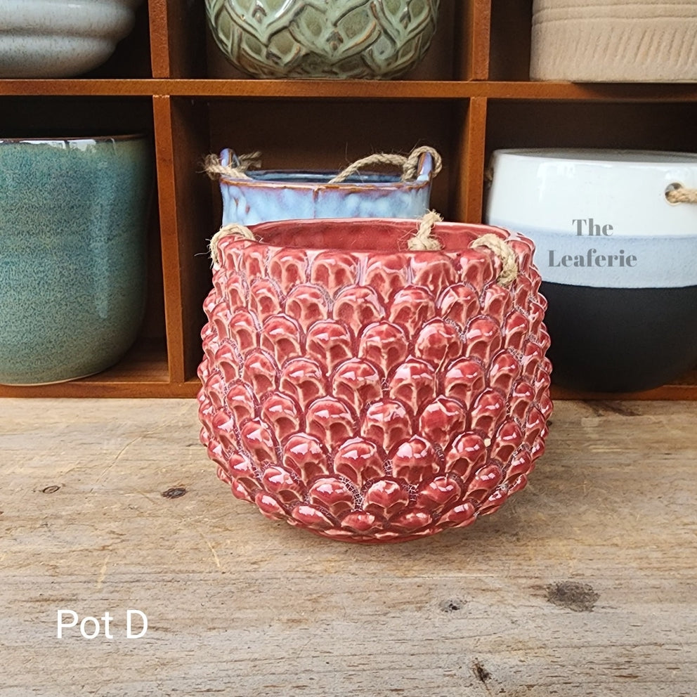 SKYLAR Collection Hanging Pots