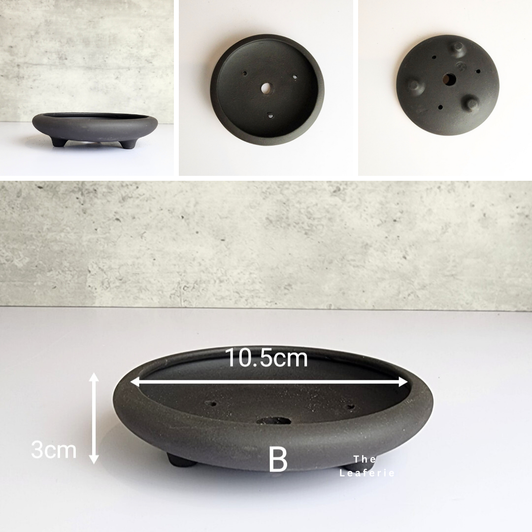 Bonsai Tray / Flowerpot (Series 6)