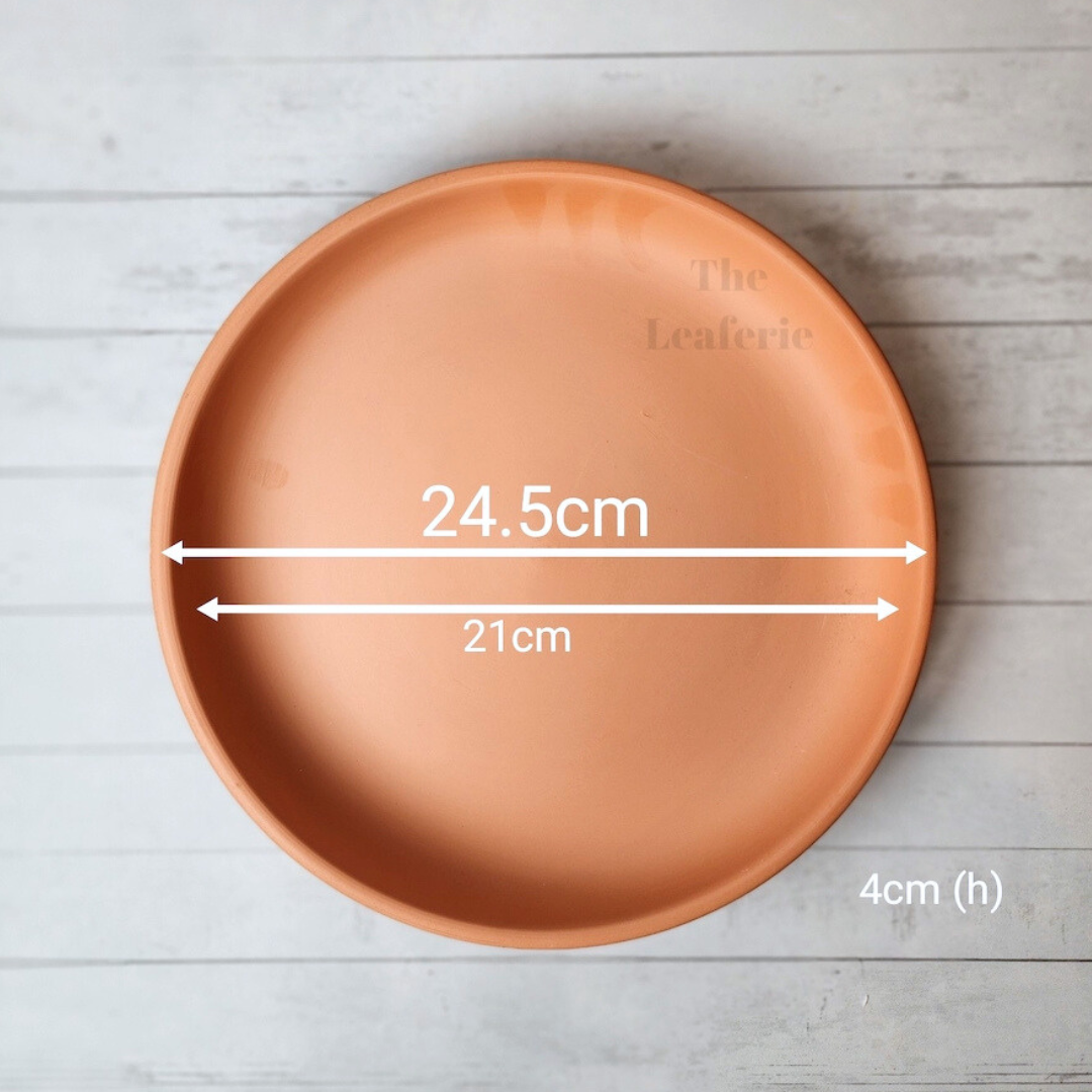 Terracotta Round Trays (7 Sizes)