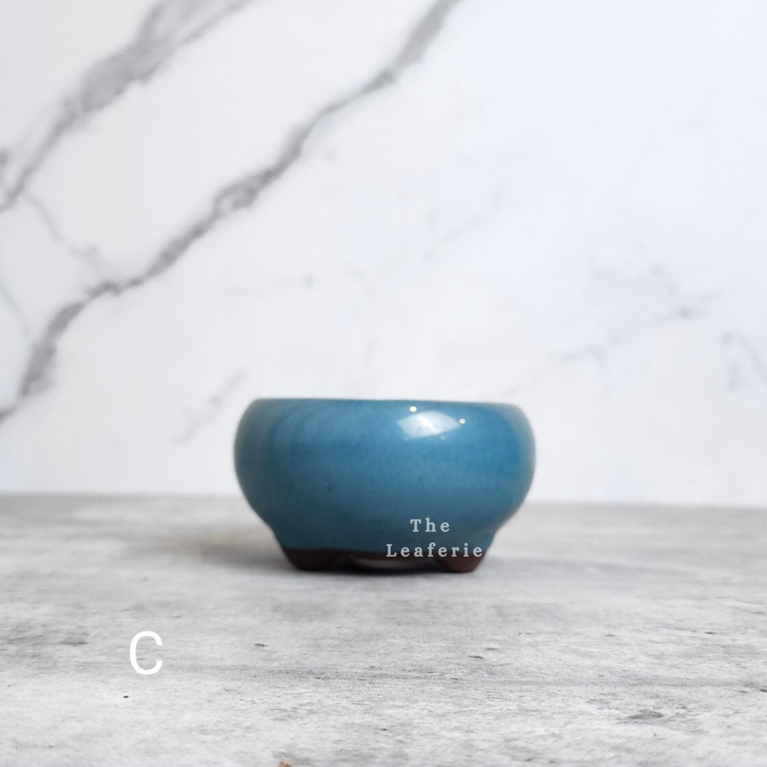 Bonsai Flowerpot (Series 25)