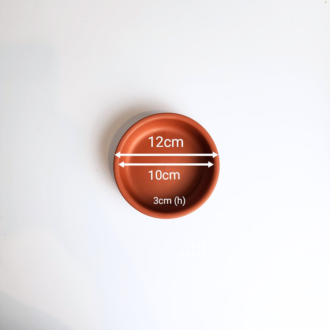 Zisha Deep Round Trays (6 sizes)