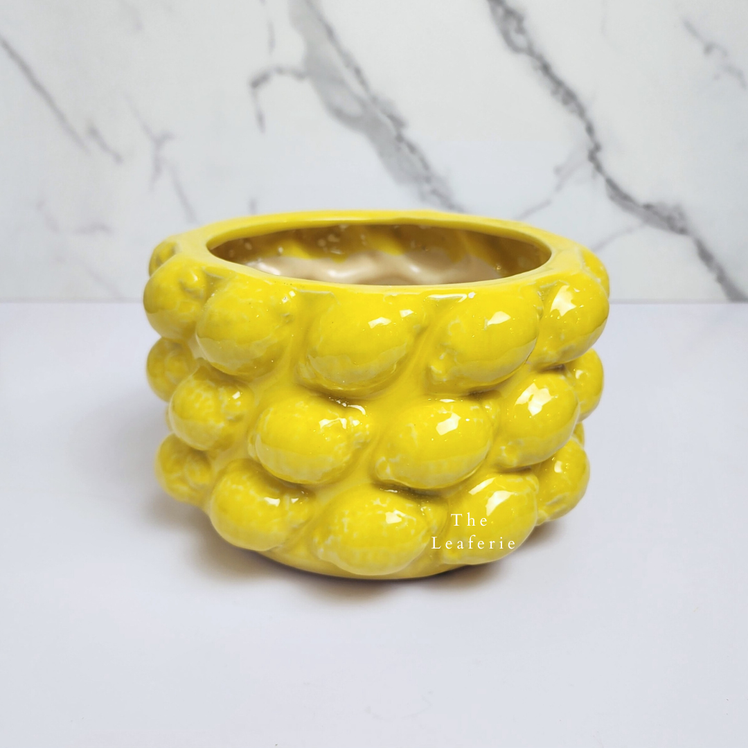 Saburo Lemon Flowerpot
