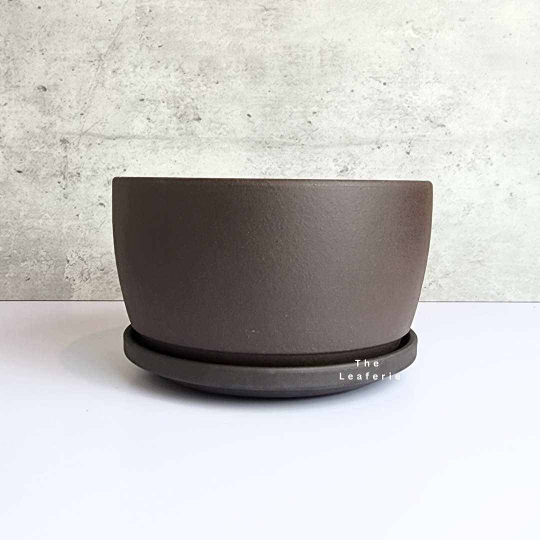 Zisha Large Trays (3 Colours)