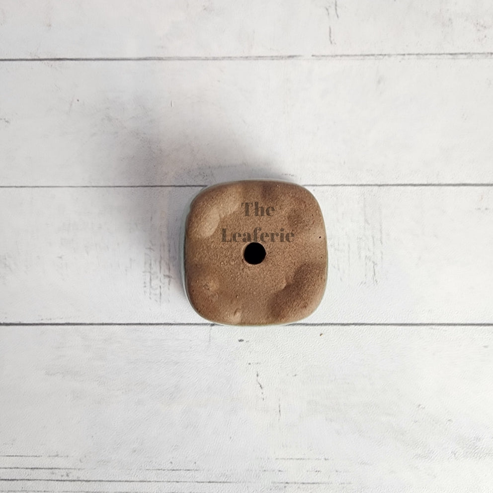 Petit Bonsai Flowerpot (Series 6)