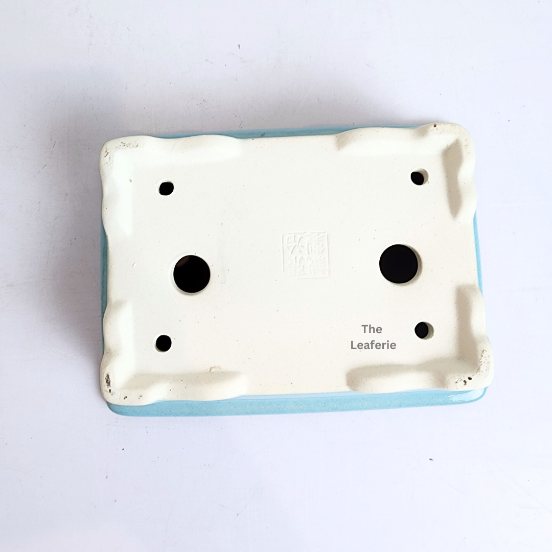 Bonsai Flowerpot (Series 67) Rectangular