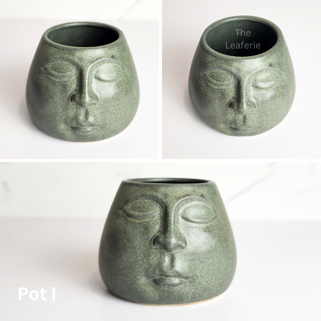 Mini Flowerpots (Series 10) 10cm