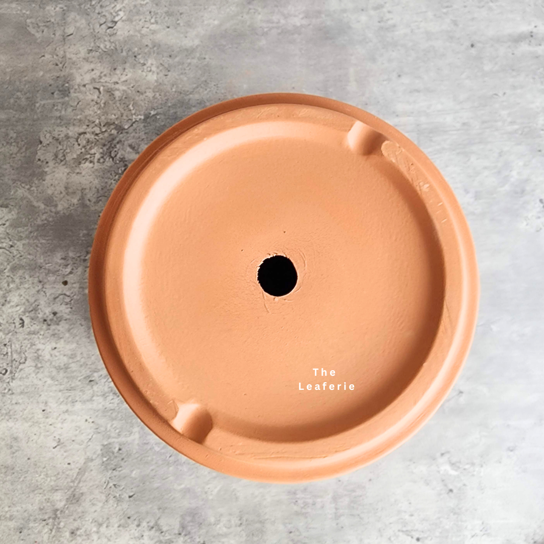 Terracotta Flowerpot G with Holes