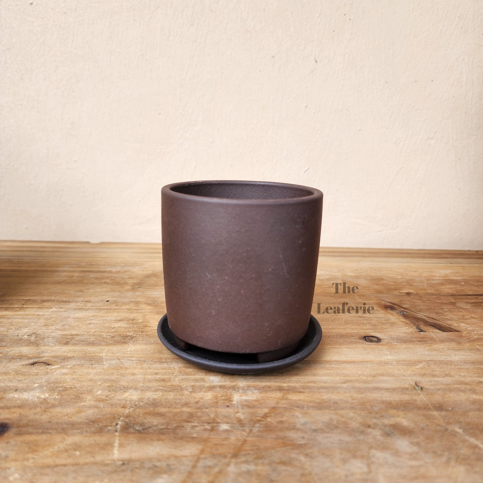 Noemie Mini Bonsai Pot (Series 1)