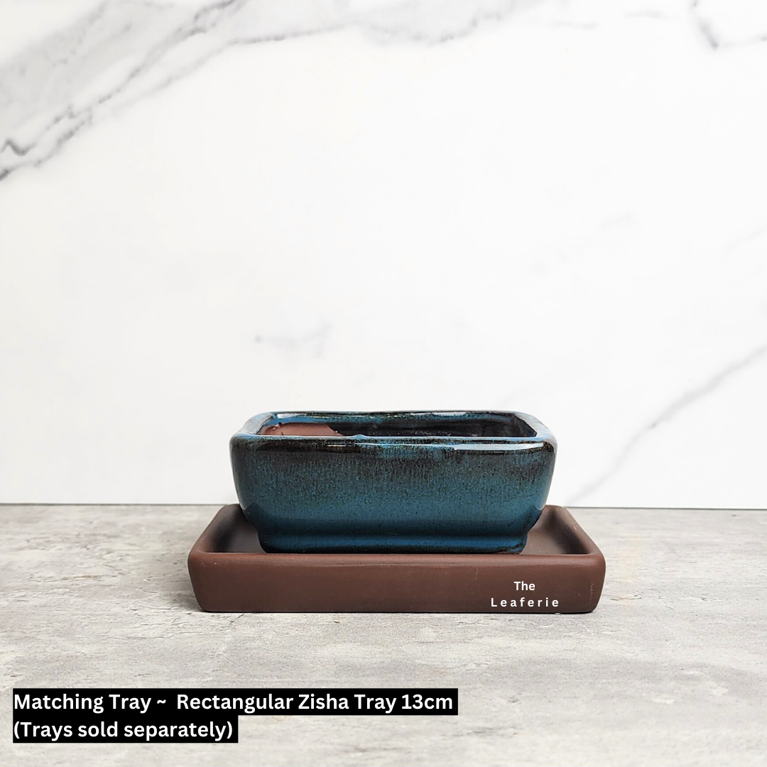 Bonsai Flowerpot (Series 33)