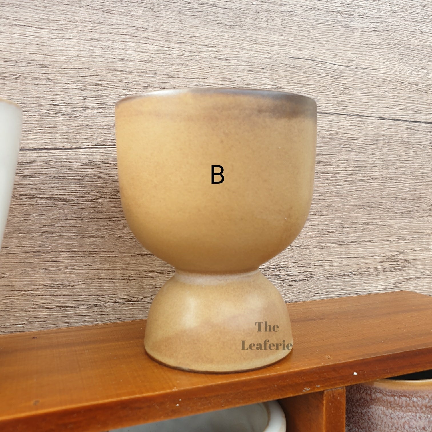 Petit Flowerpots (Series 3)