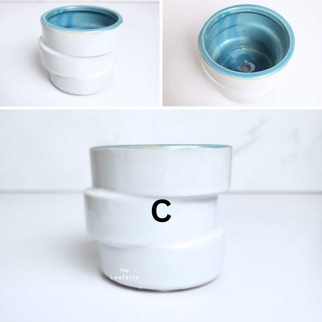 Petit Flowerpots (Series 17)