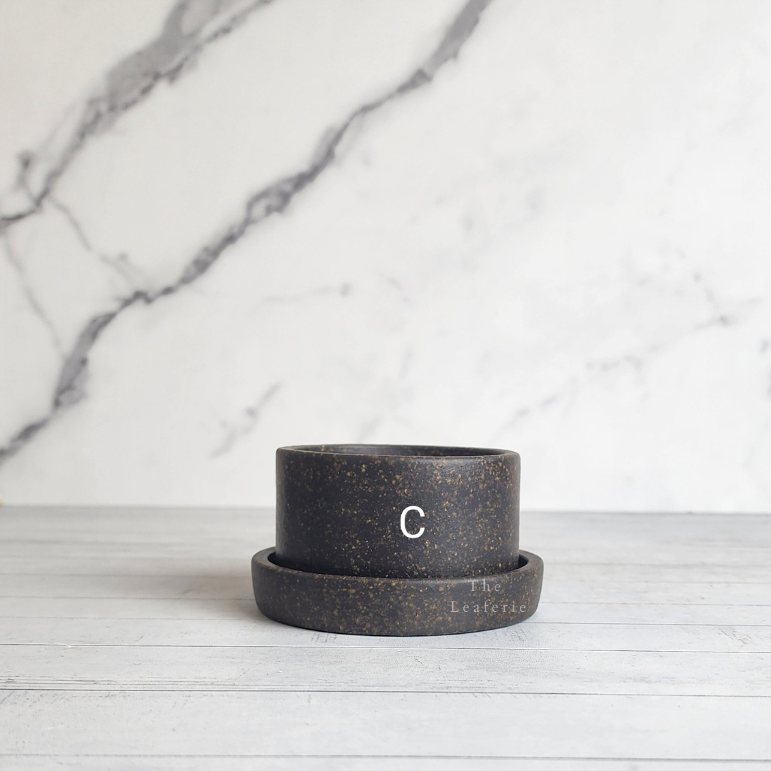 Noemie Mini Flowerpot (Series 2)