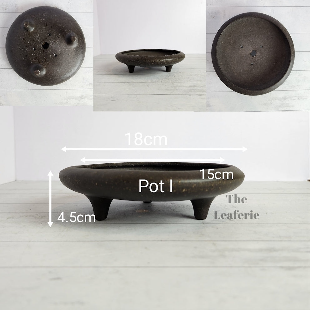 Petit Bonsai Tray / flowerpot (Series 4)