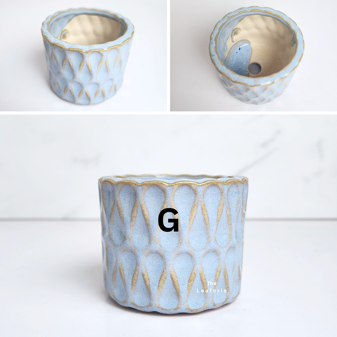 Petit Flowerpots (Series 14)