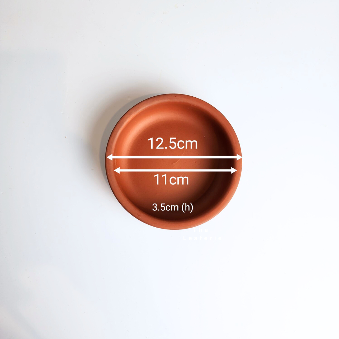 Zisha Deep Round Trays (6 sizes)