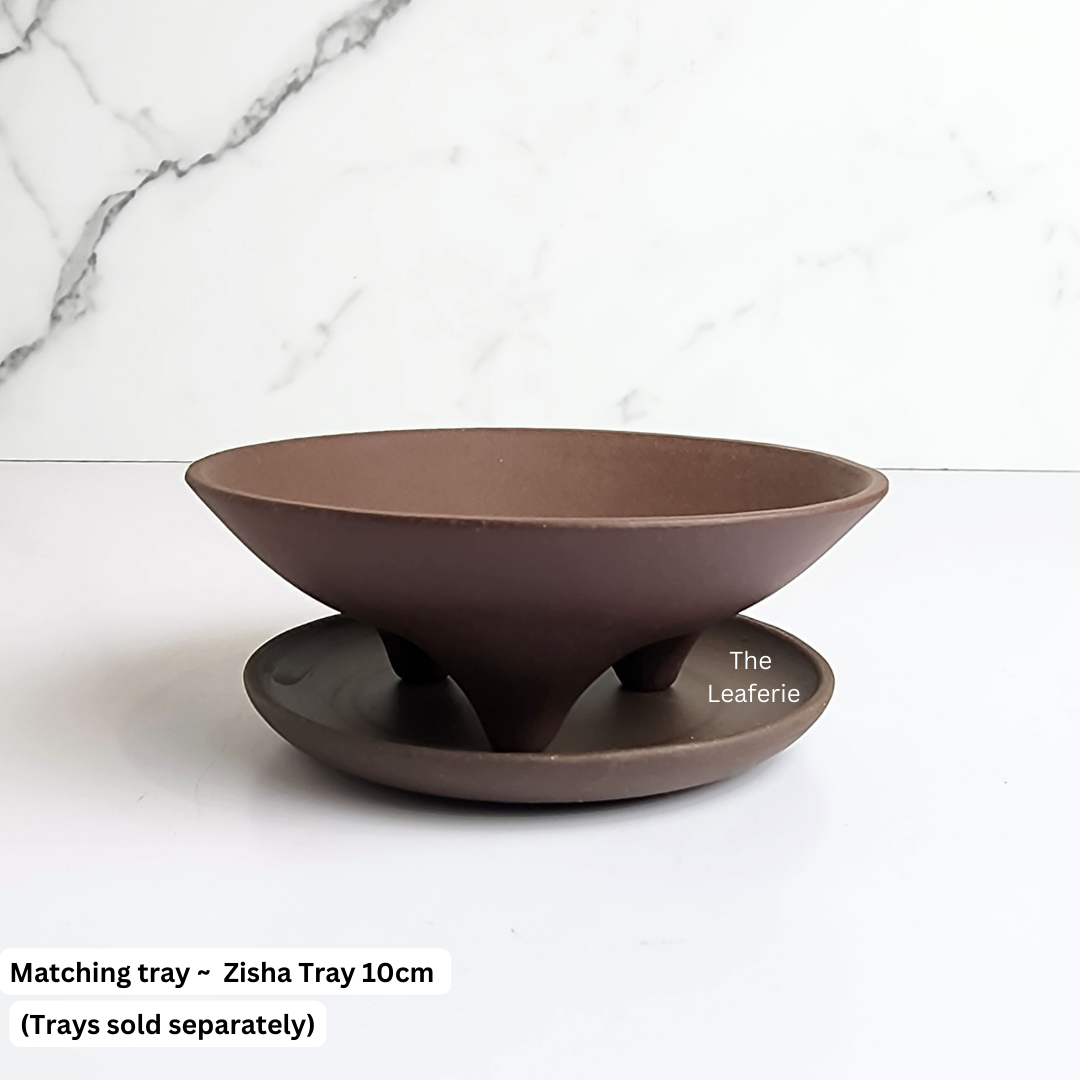 Bonsai Tray / Flowerpot (Series 1)