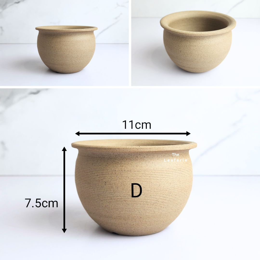 Yenta Flowerpot (4 Designs)