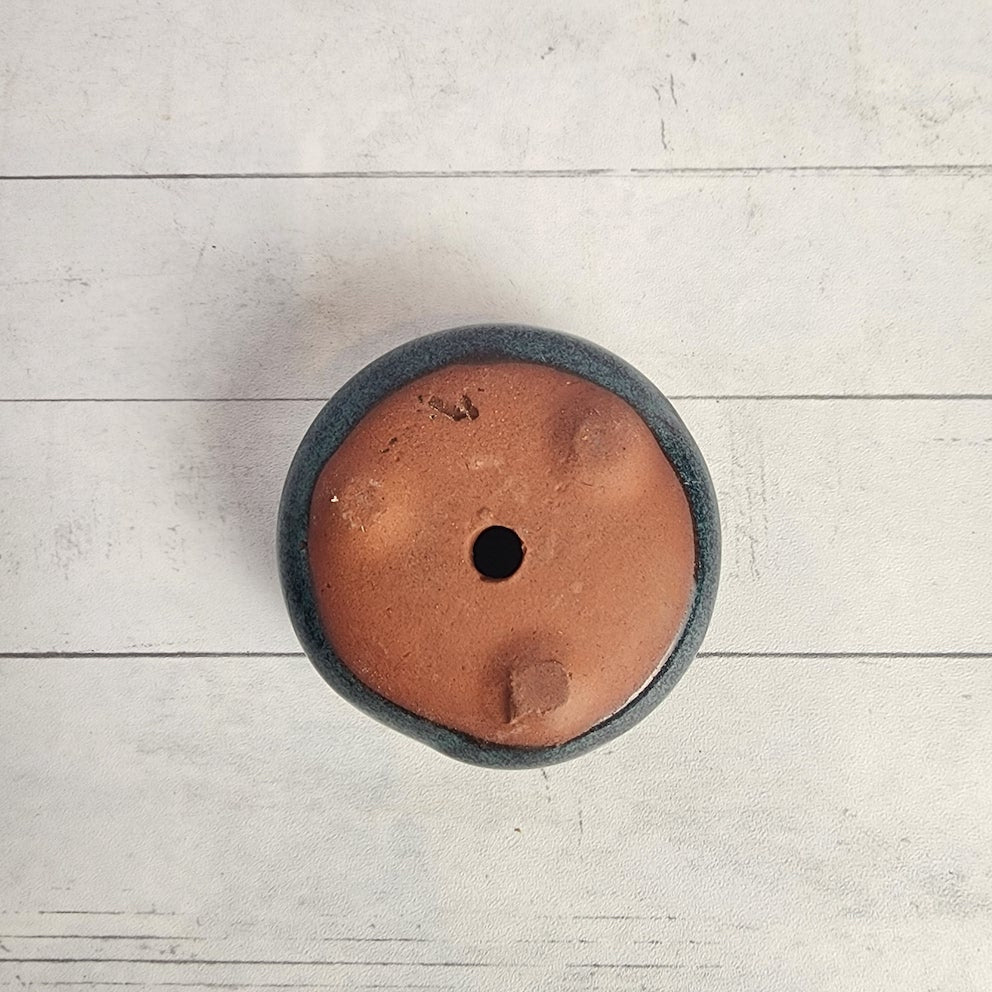 Petit Bonsai Pot (Series 5)